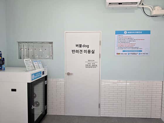 버블dog