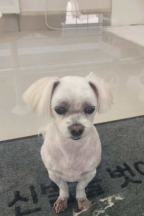 뽀송 · 네이버 지도·플레이스 2