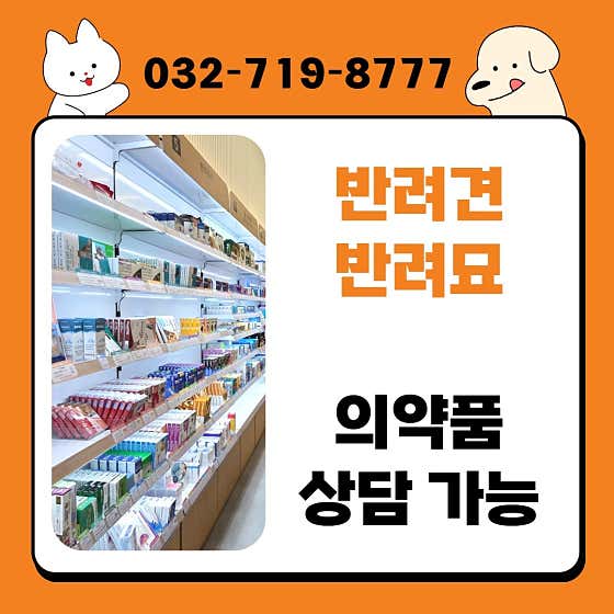 인하365약국 · 네이버 지도·플레이스 2
