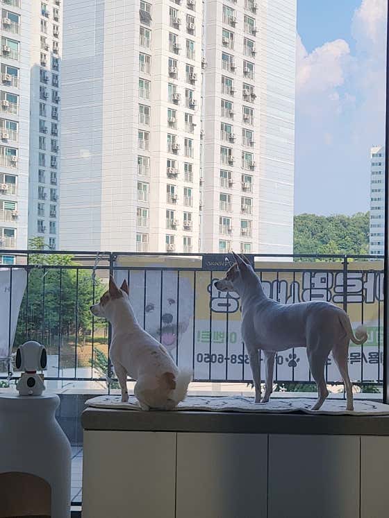 아르멍 · 네이버 지도·플레이스 5
