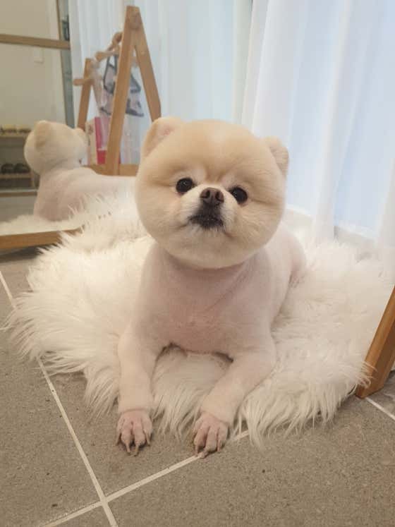 달이네 · 네이버 지도·플레이스 6