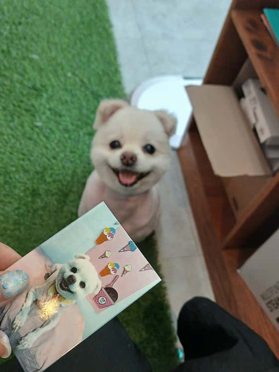 멍빨나개
