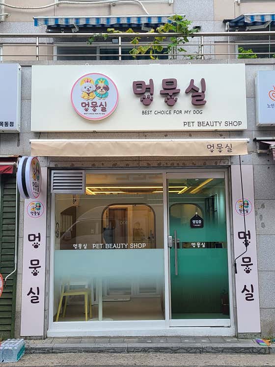 멍뭉실 · 네이버 지도·플레이스 2