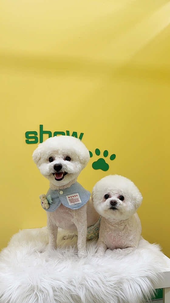 쇼미더멍