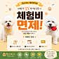 댕스미스 애견유치원 · 네이버 지도·플레이스 6