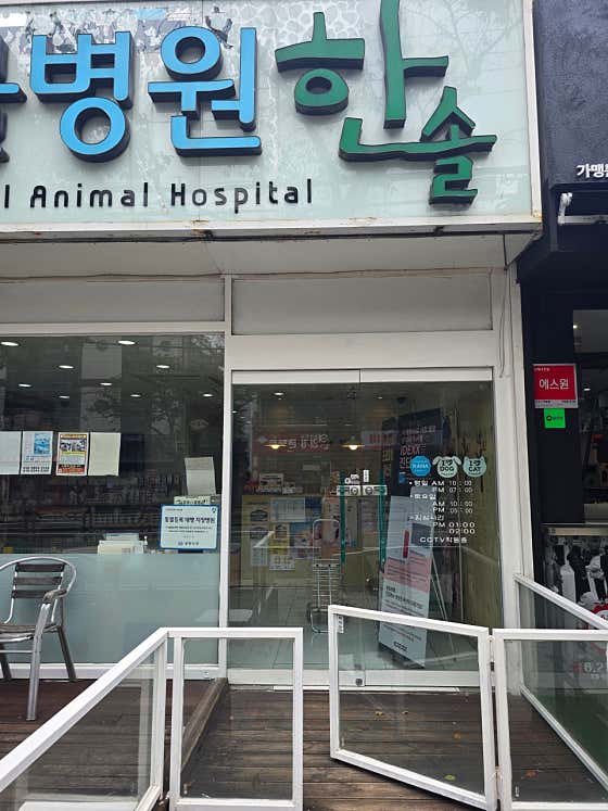 한솔애견미용실 · 네이버 지도·플레이스 4
