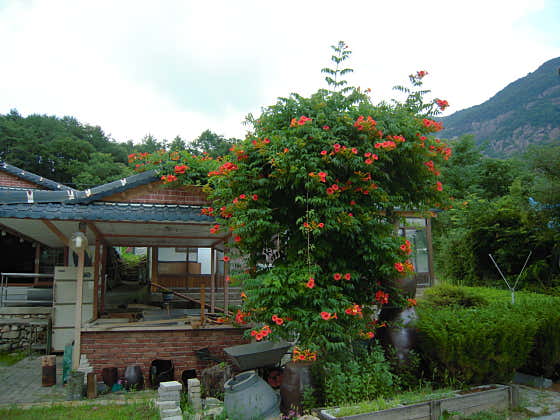 산안식당