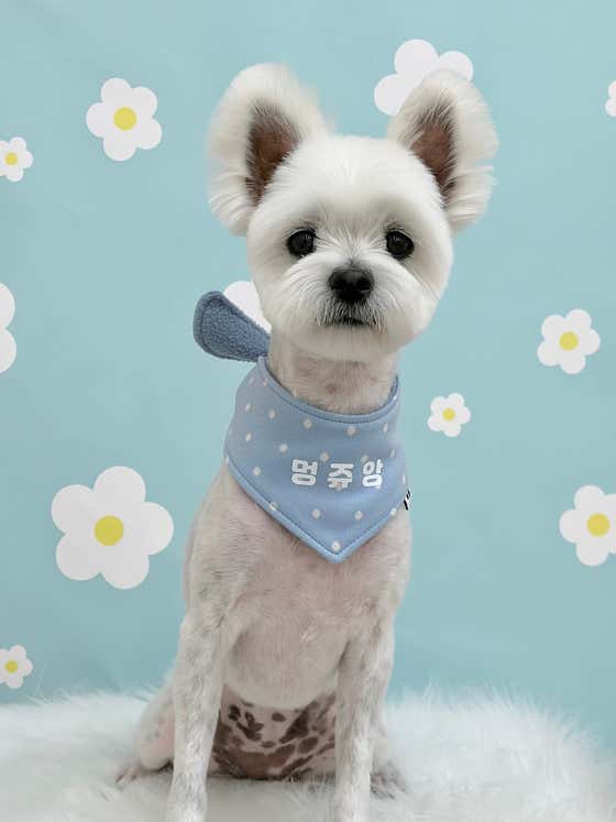 멍쥬앙 · 네이버 지도·플레이스 9