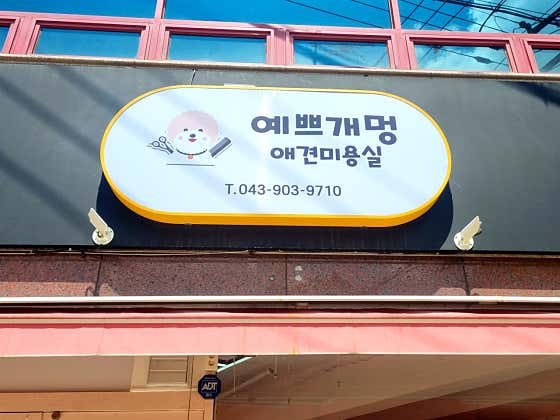 예쁘개멍애견미용실 · 네이버 지도·플레이스 8