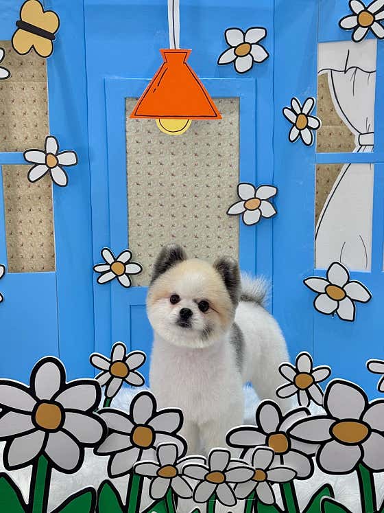 몽몽하나 · 네이버 지도·플레이스 4