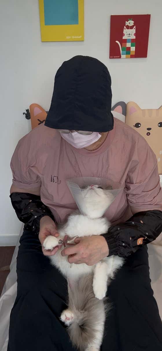 레아룸 · 네이버 지도·플레이스 7