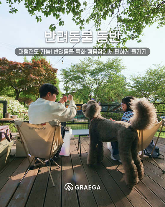 펫밀리캠프온 · 네이버 지도·플레이스 3