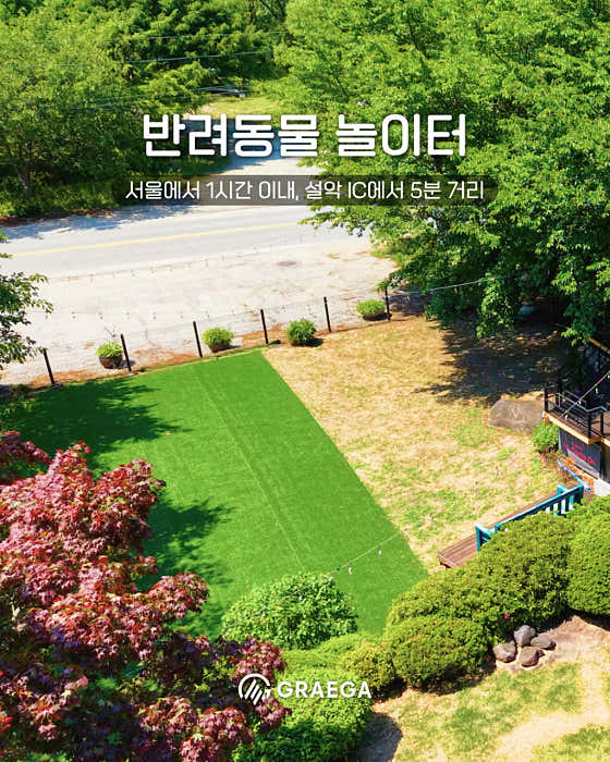 펫밀리캠프온 · 네이버 지도·플레이스 7