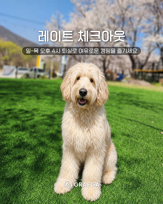 펫밀리캠프온 · 네이버 지도·플레이스 2