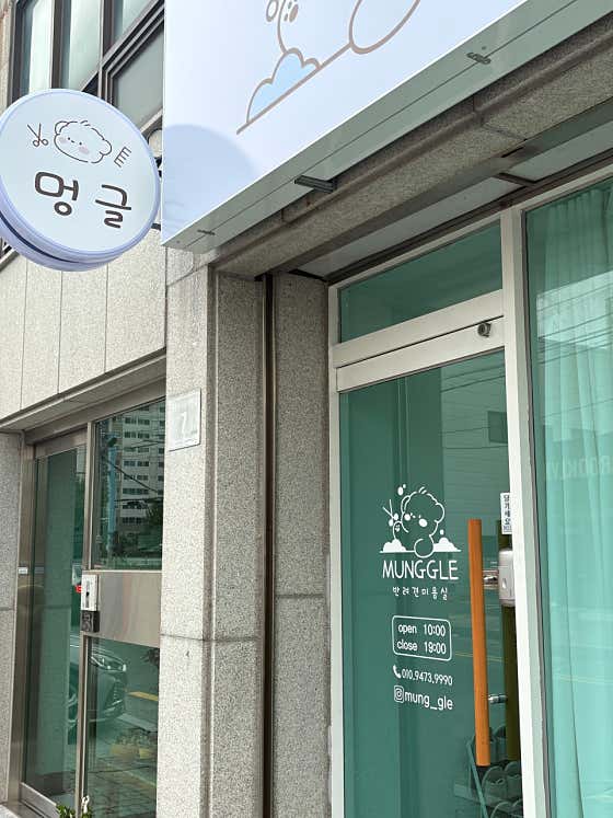 멍글 · 네이버 지도·플레이스 4