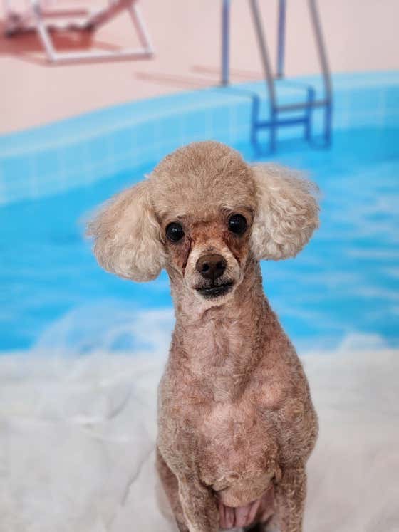나르몽실 · 네이버 지도·플레이스 5