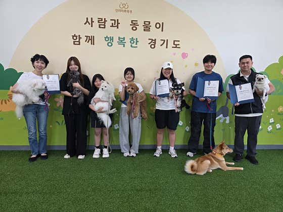 도그라운지 · 네이버 지도·플레이스 2