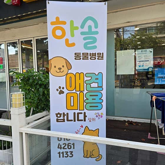 한솔애견미용실
