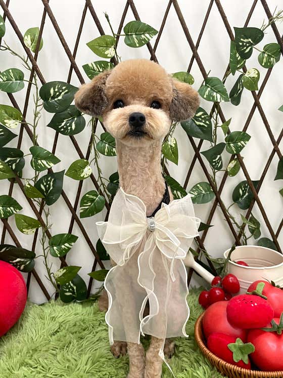 오늘도털빨 · 네이버 지도·플레이스 5