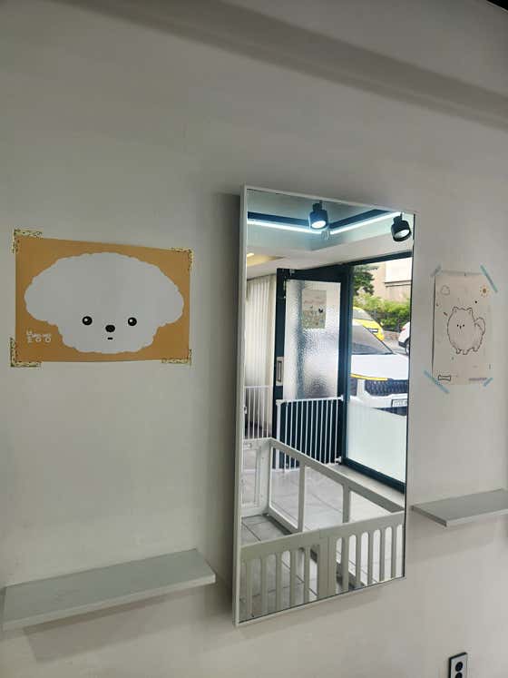 볼빵빵부티크 · 네이버 지도·플레이스 4