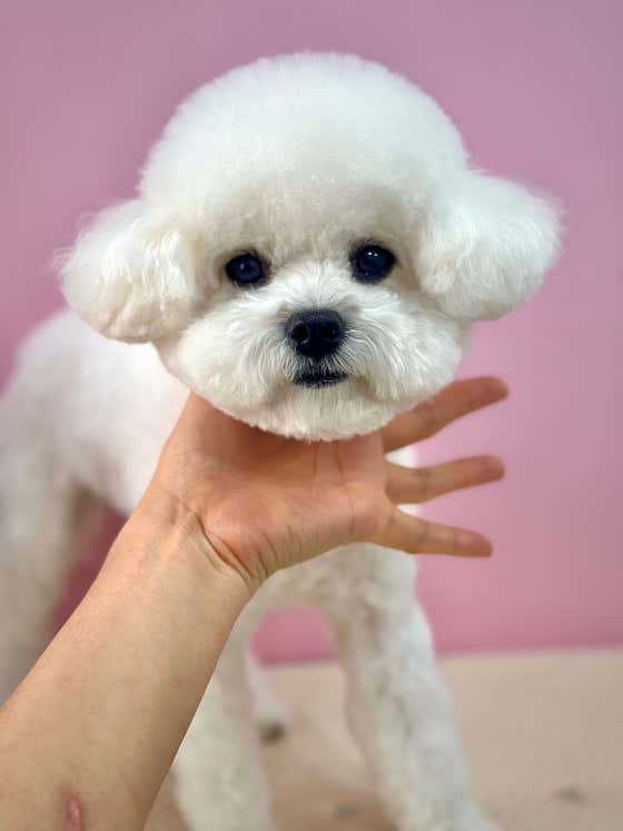허그멍