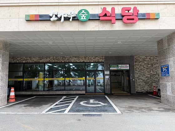 소나무숲식당