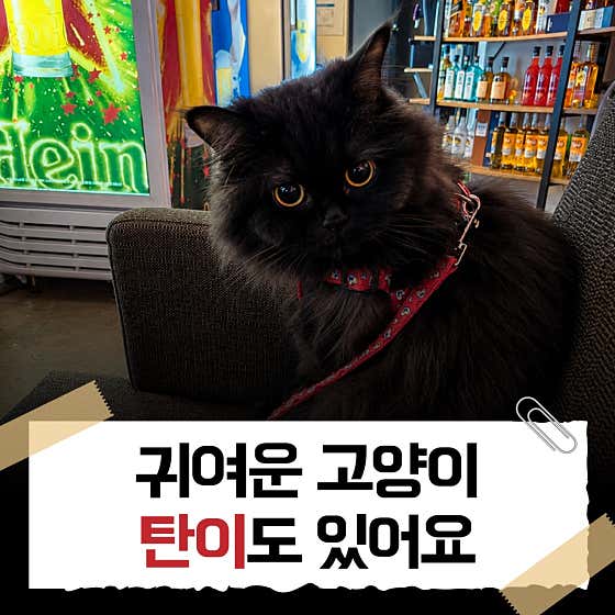 쥬크박스 · 네이버 지도·플레이스 10