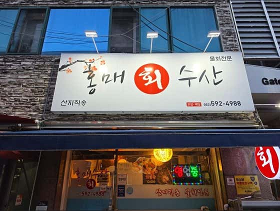 홍매회수산