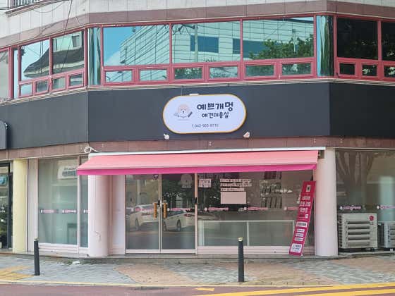 예쁘개멍애견미용실 · 네이버 지도·플레이스 5