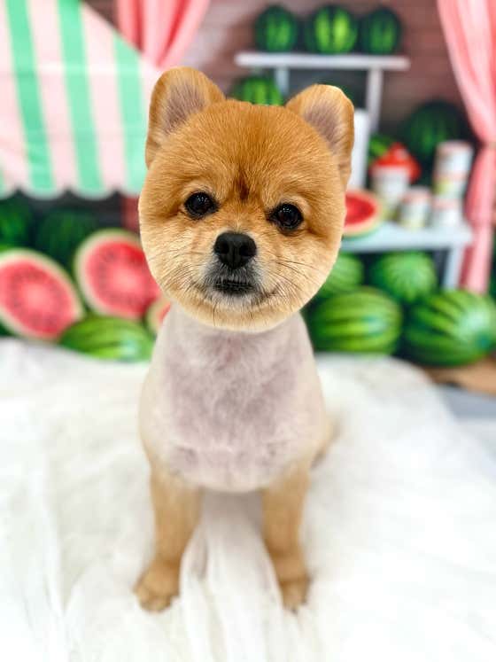 멍실묭실 · 네이버 지도·플레이스 3