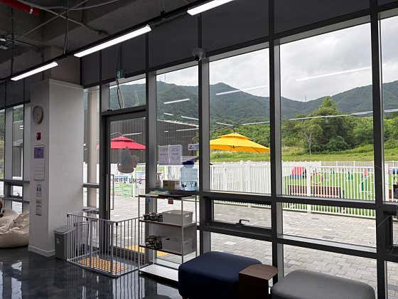 세명대학교 S:MU 카페 & 펫파크 · 네이버 지도·플레이스 9
