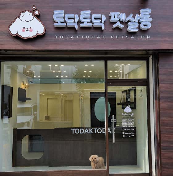 토닥토닥펫살롱