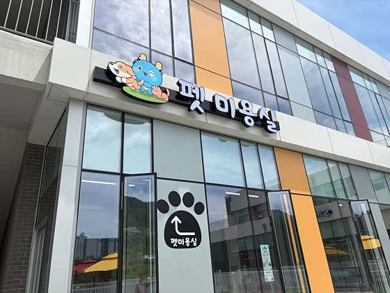 세명대학교 S:MU 펫미용실