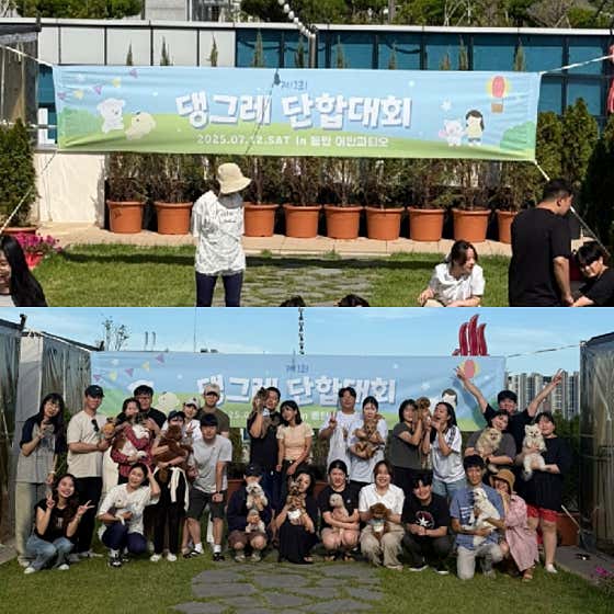 댕그레 애견유치원 & 호텔 · 네이버 지도·플레이스 10