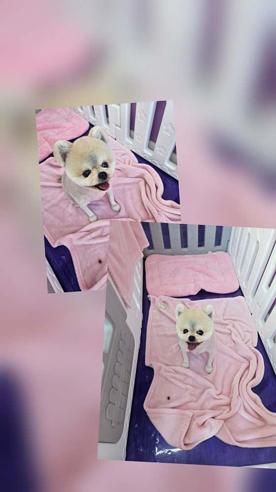 빙구네 미용실 · 네이버 지도·플레이스 4