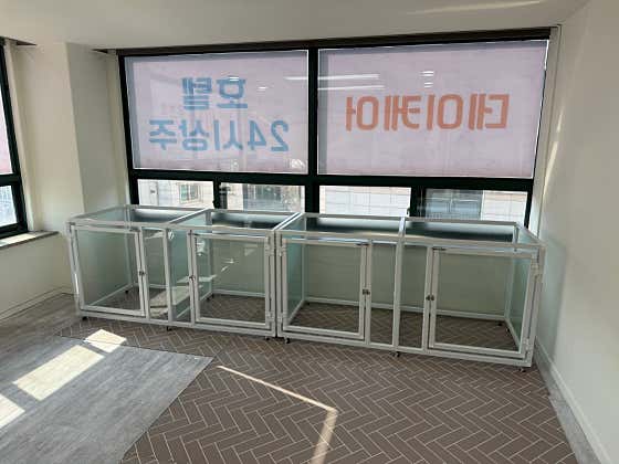 후즈독 · 네이버 지도·플레이스 9