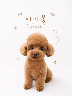 아가몽 애견미용실 · 네이버 지도·플레이스 5