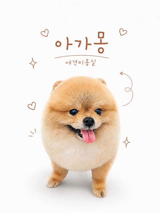 아가몽 애견미용실