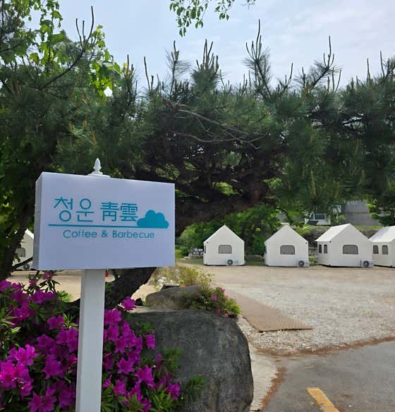 청운 · 네이버 지도·플레이스 2