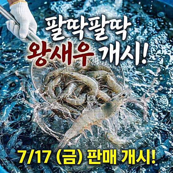 철없는새우 · 네이버 지도·플레이스 7
