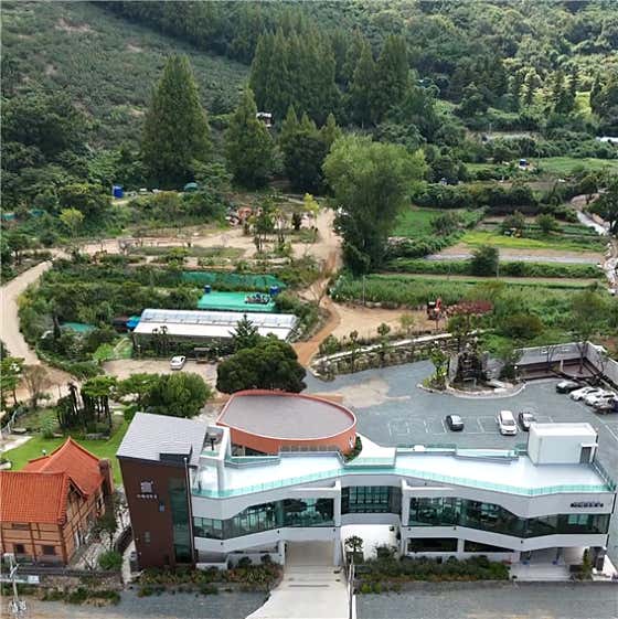 카페대동숲