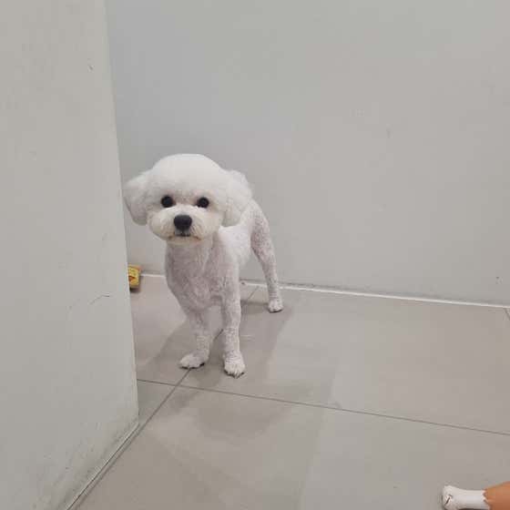 꼬순내 · 네이버 지도·플레이스 5