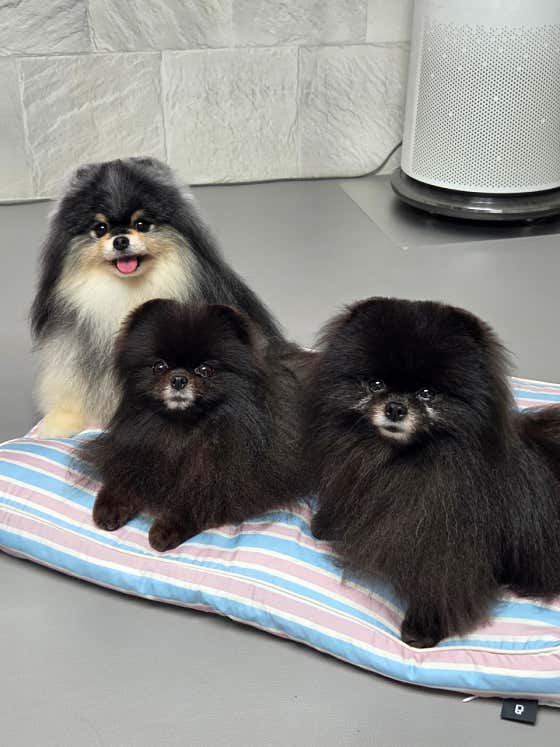 스파클 비 · 네이버 지도·플레이스 3