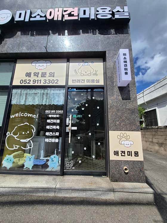 미소애견미용실 · 네이버 지도·플레이스 9