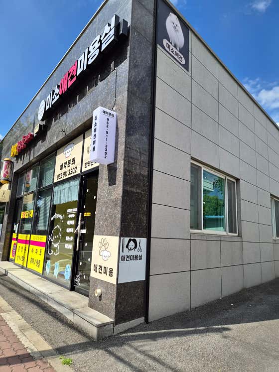 미소애견미용실 · 네이버 지도·플레이스 10