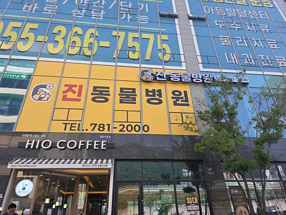 진동물병원