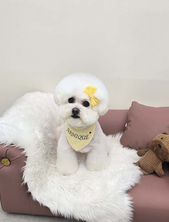 아르미끄 · 네이버 지도·플레이스 5