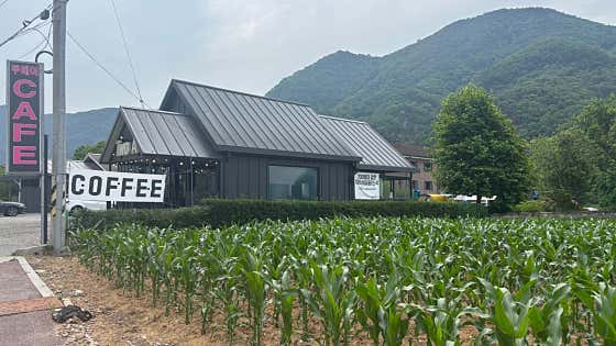 카페 투에이 · 네이버 지도·플레이스 2
