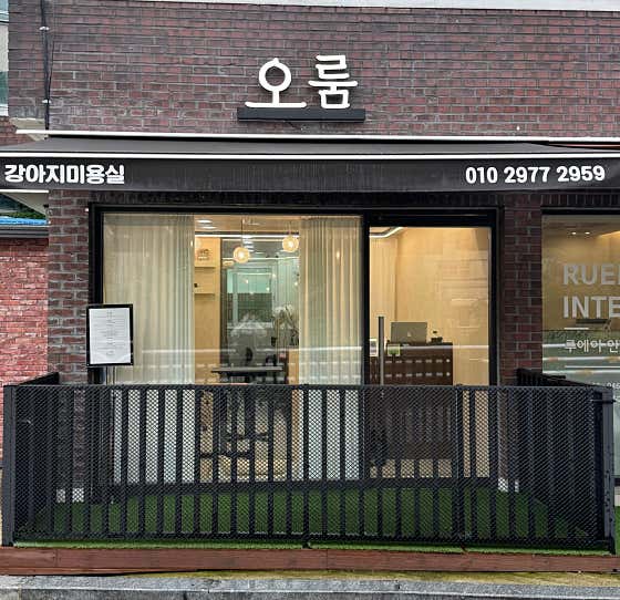 오룸