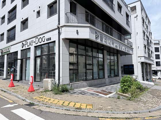 강아지분양 플레이독 김포점 · 네이버 지도·플레이스 3